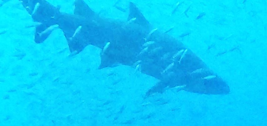 00b83aad-9a86-40cc-bd12-cb9ffa1059f3