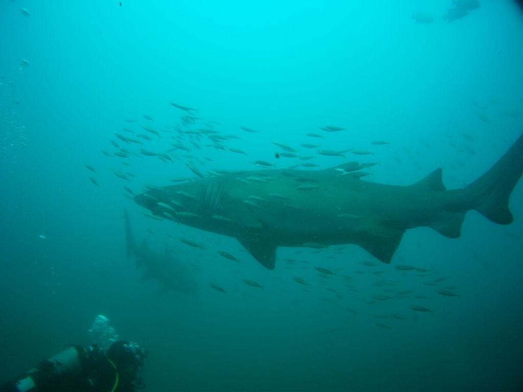 101f1ece-888a-4c72-b422-a62415169146