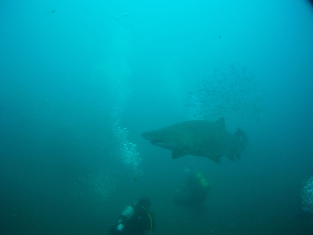 101f1ece-888a-4c72-b422-a62415169146