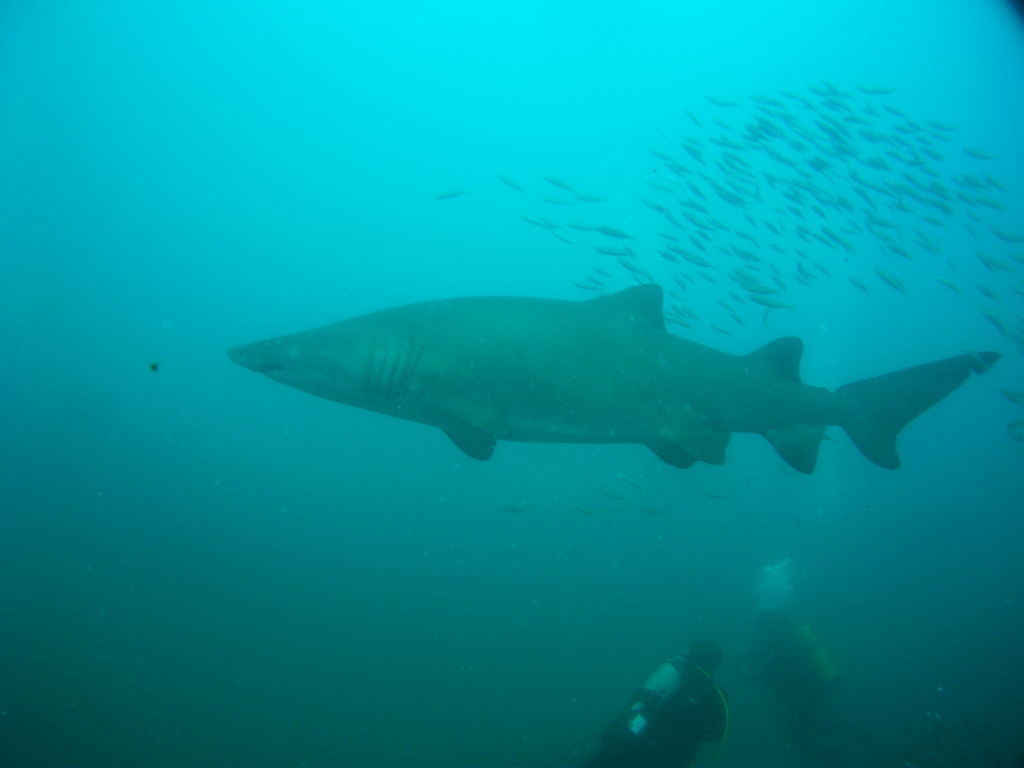 101f1ece-888a-4c72-b422-a62415169146