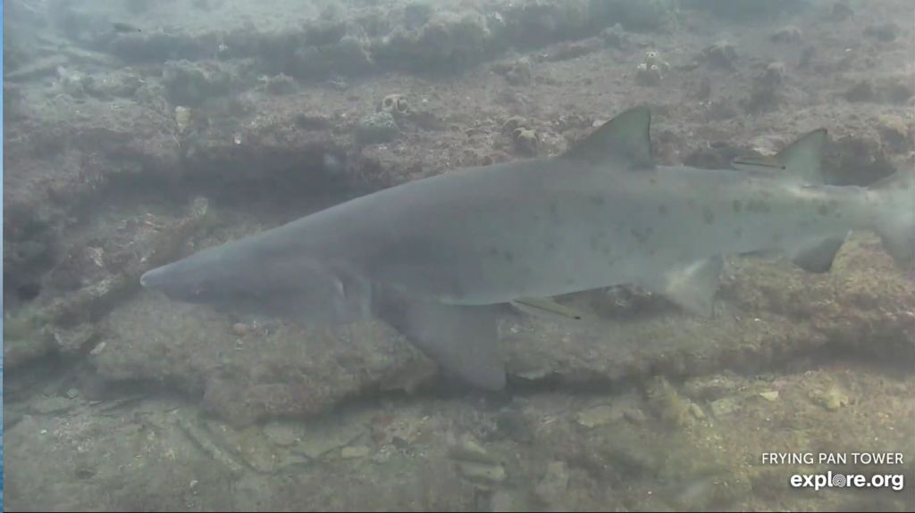 2045886b-8e0f-480c-9908-66fd17db420d