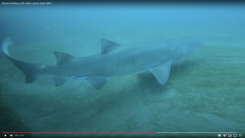 50018cbb-ab40-4205-941d-5559f6145b62