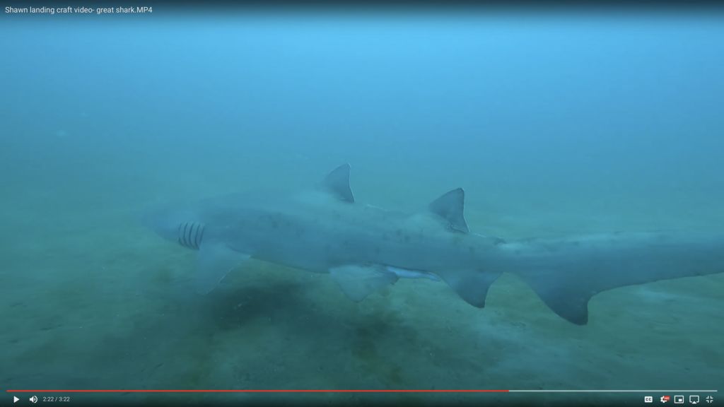 50018cbb-ab40-4205-941d-5559f6145b62