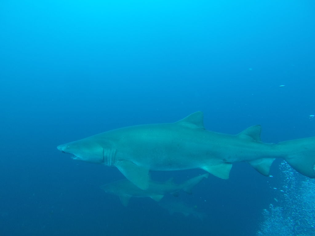 a61b92d2-2349-4d78-8d39-1e8fb416f5d9