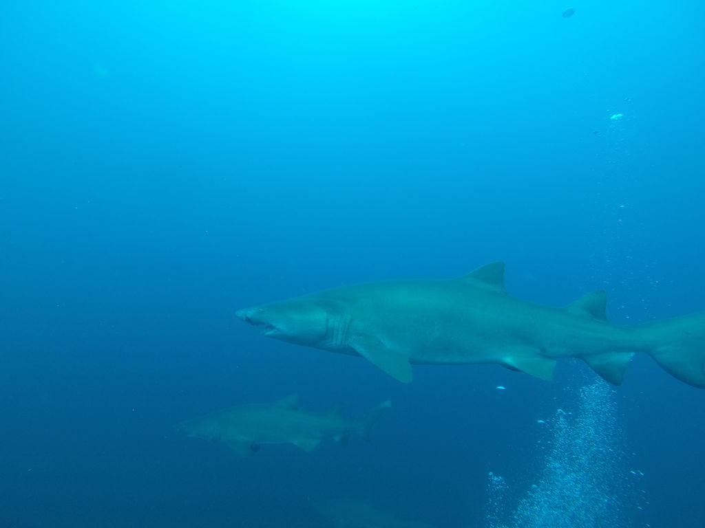 a61b92d2-2349-4d78-8d39-1e8fb416f5d9