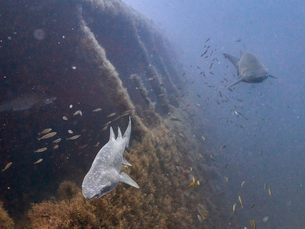 a299b113-0245-4ef9-9360-2bba7d01ca66