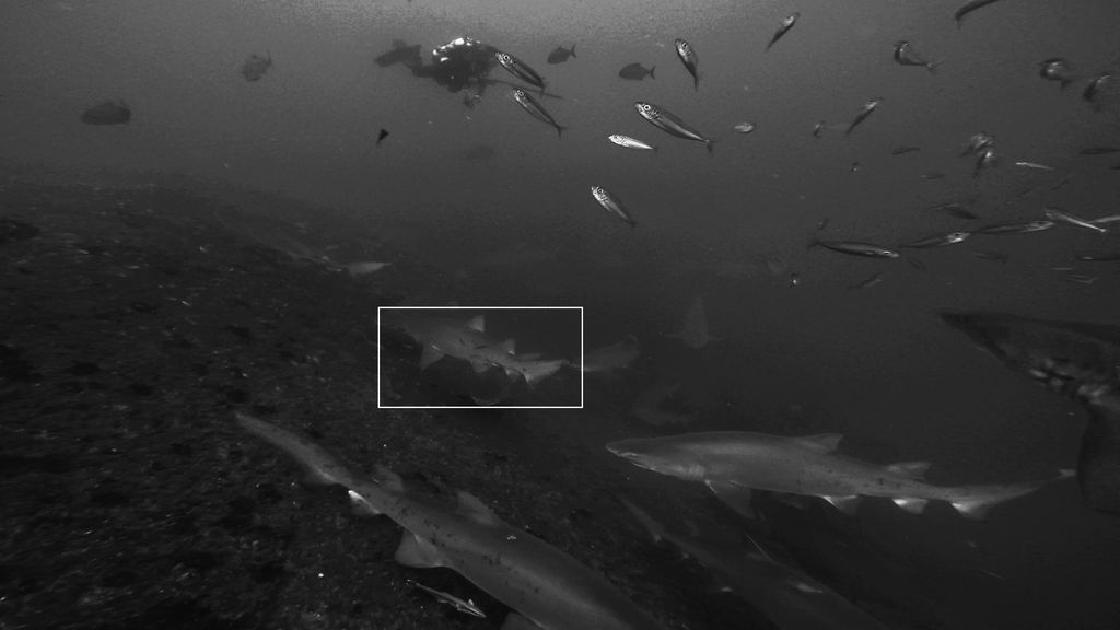 351c807b-5be1-4370-9ee9-2ee157a6e799