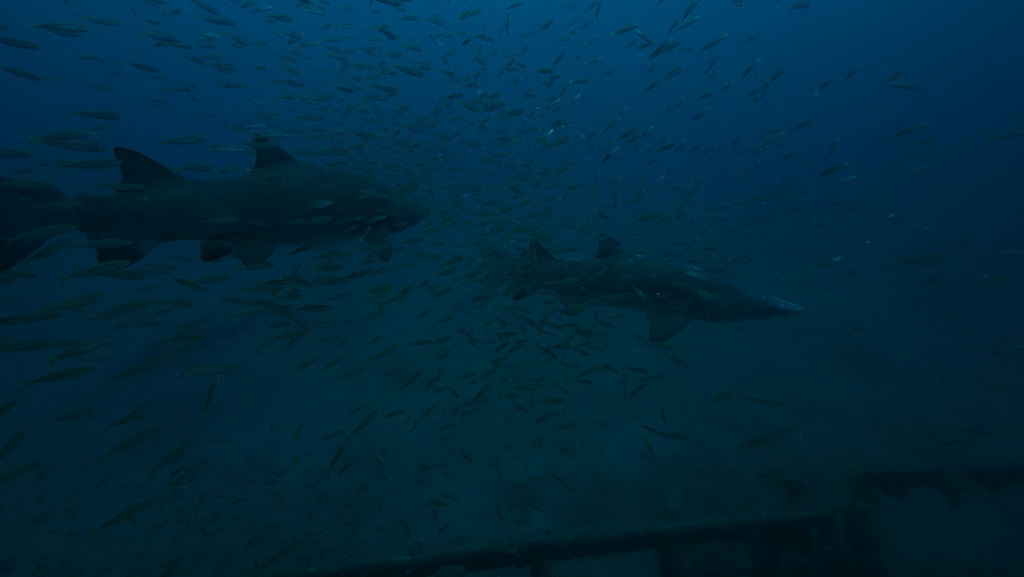 f9808d9a-4f53-46af-a7b6-aac385900ec1