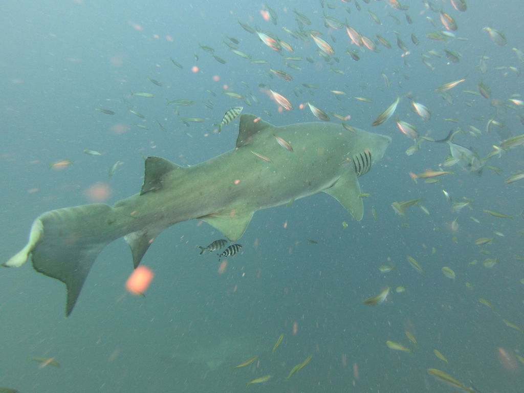 b2829143-7049-4ed7-9833-64af036a210e