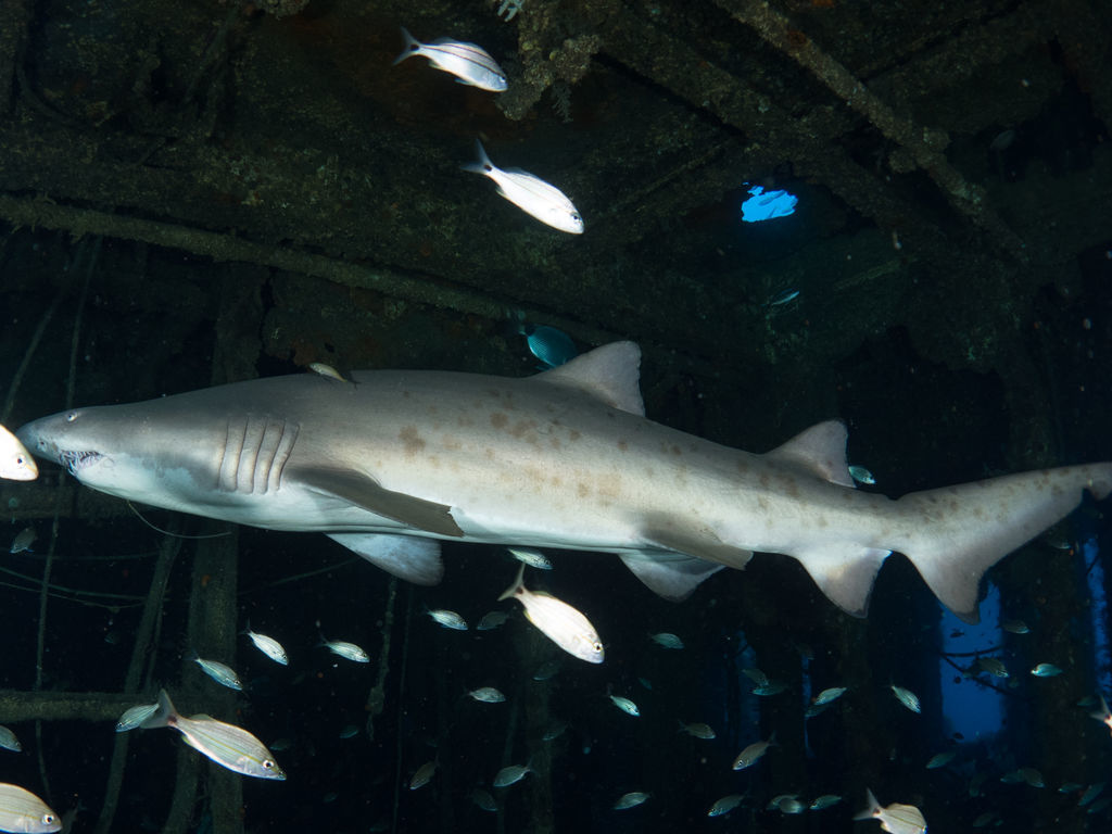 47be0dea-79fd-46dc-807c-5b176d6f5006