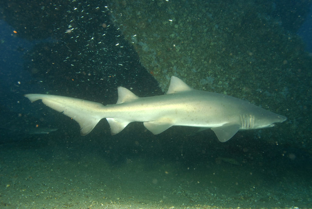 40e9648e-fe8e-4c3b-bc2f-c612ee281f35