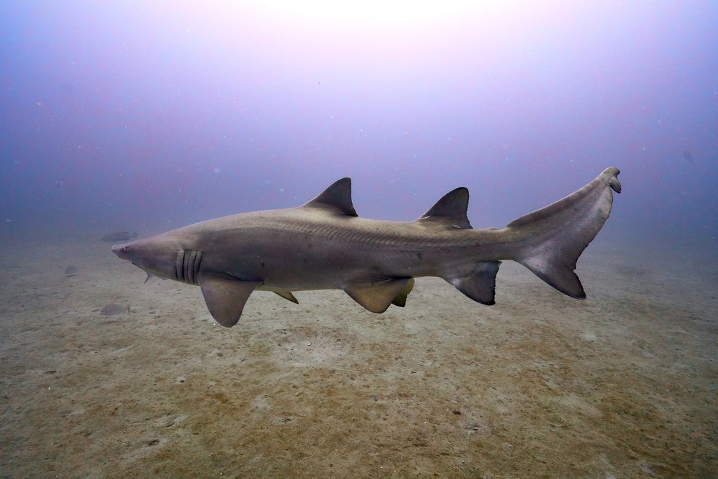 908bc79d-01e6-4721-a50a-323cd7ef3d80