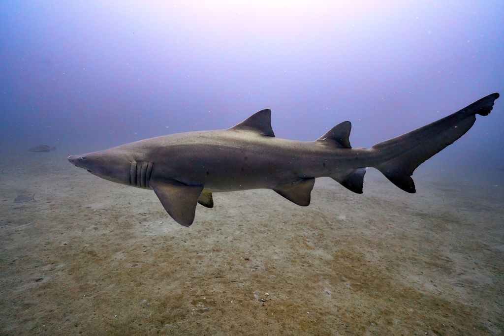 908bc79d-01e6-4721-a50a-323cd7ef3d80