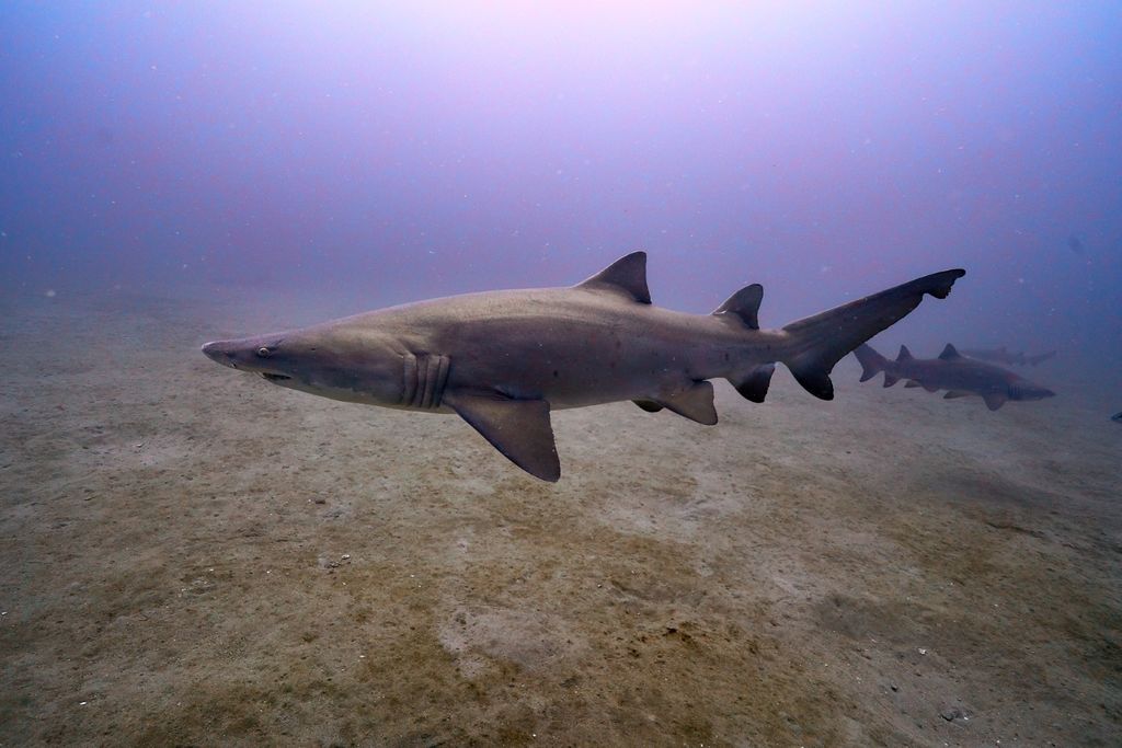 908bc79d-01e6-4721-a50a-323cd7ef3d80