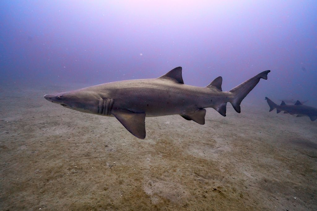 908bc79d-01e6-4721-a50a-323cd7ef3d80