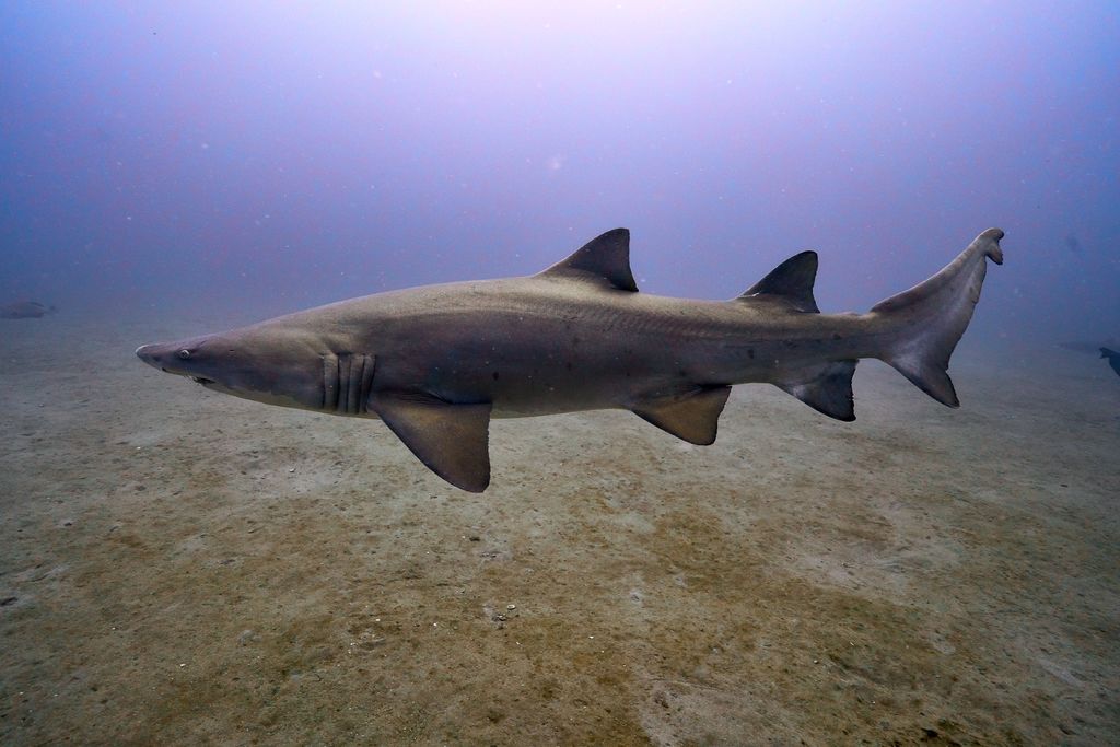 908bc79d-01e6-4721-a50a-323cd7ef3d80