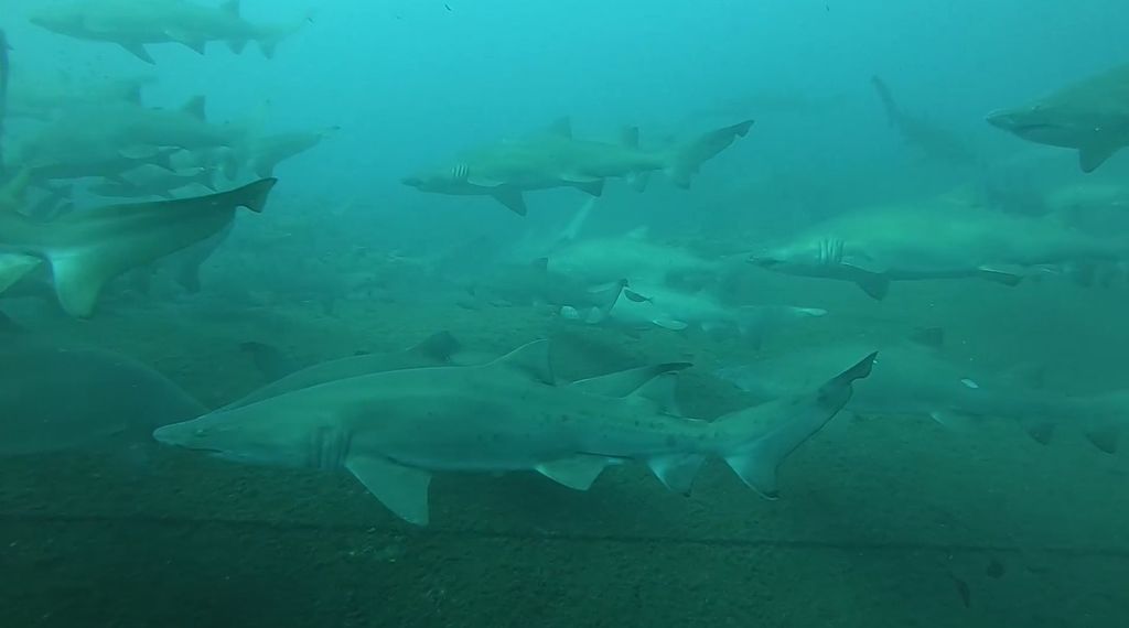 eec60190-6455-49db-801a-4c86011ed9f7