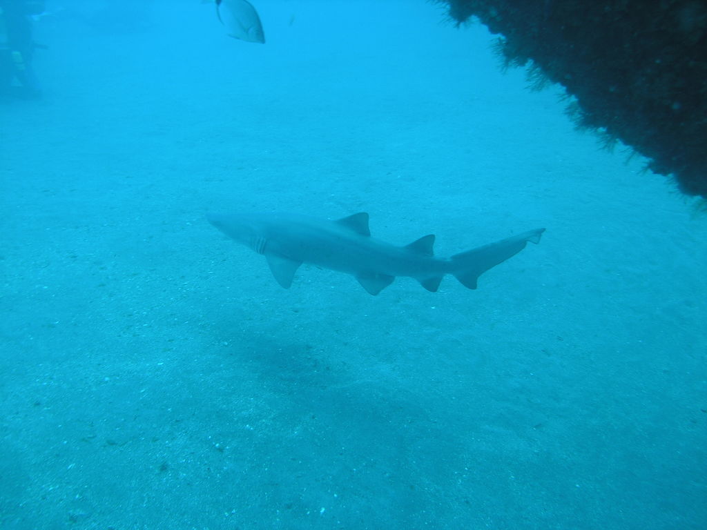 5c58aa80-ec81-42a1-8bc5-8c1fe3bf9389