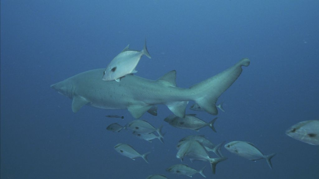 be5e742b-88d0-4a44-84f5-7d7a5c8f29e2