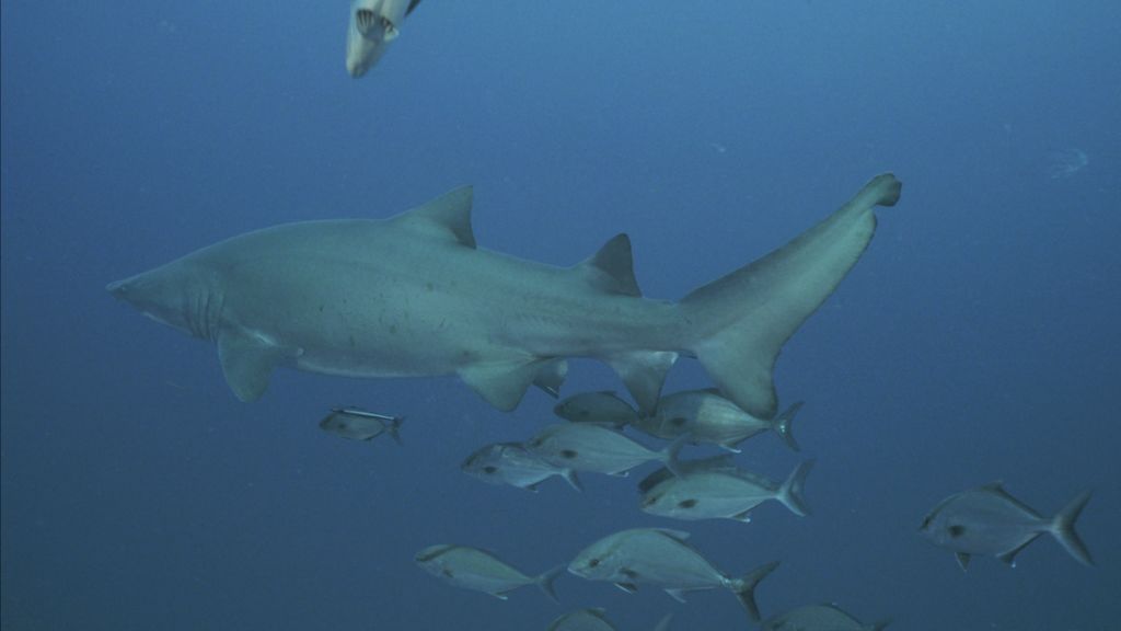 be5e742b-88d0-4a44-84f5-7d7a5c8f29e2