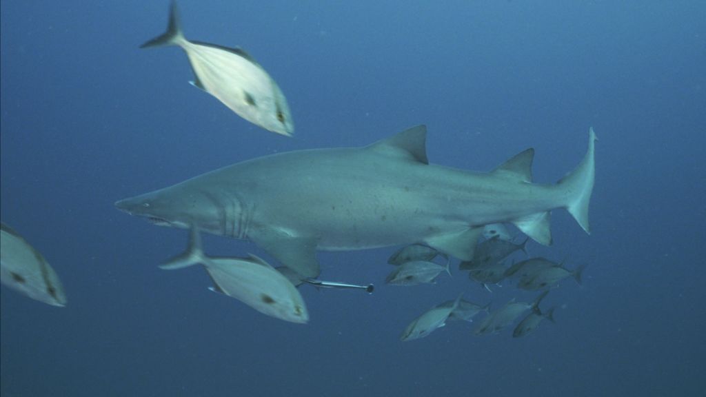 be5e742b-88d0-4a44-84f5-7d7a5c8f29e2