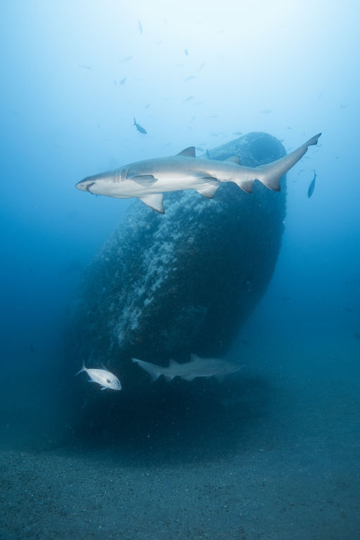 d551cbf1-6f7f-4957-ba0b-a5bb26053032