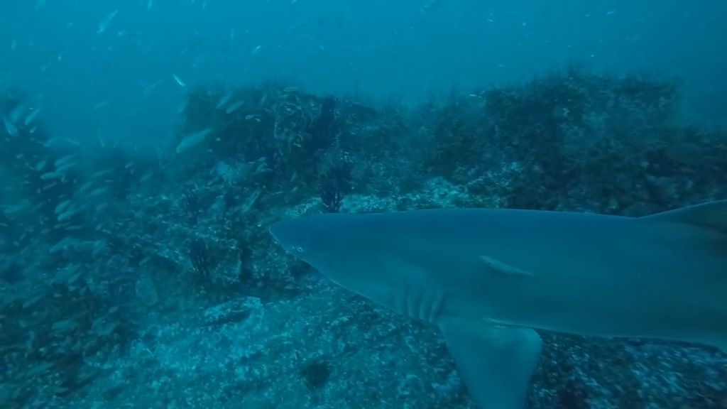 8c359341-f0b3-4cc3-8607-120db14bf74f