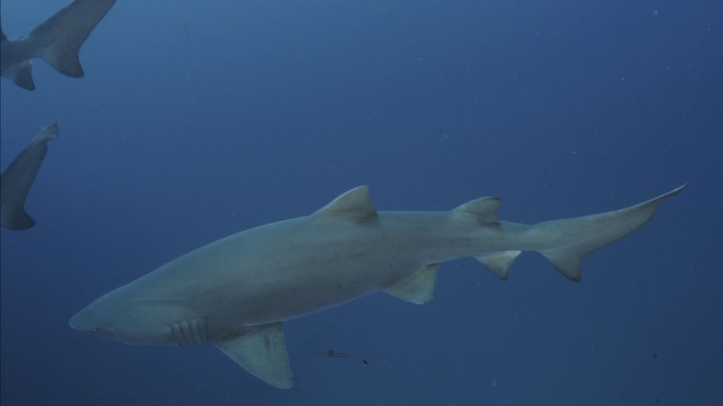 ecab5d0b-13cf-462c-a267-775226e99112