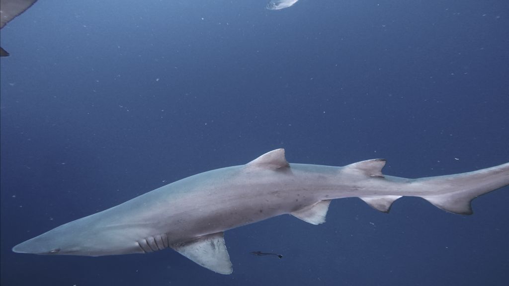 ecab5d0b-13cf-462c-a267-775226e99112