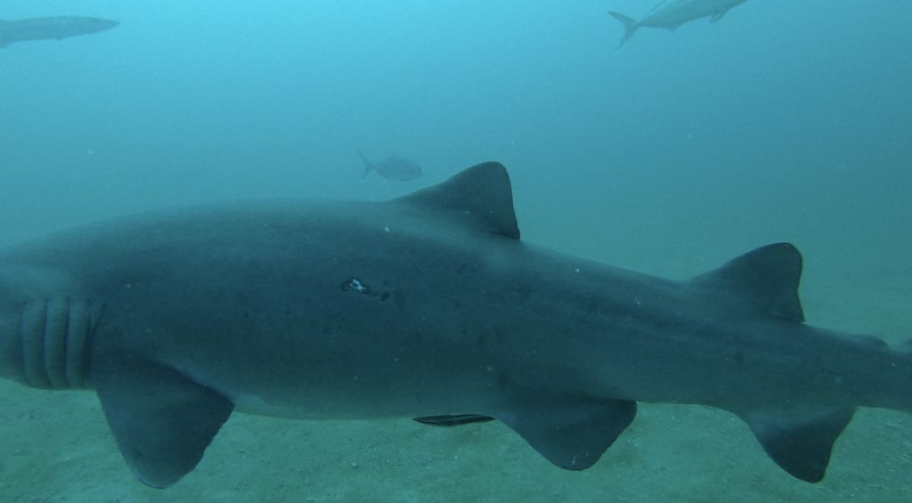 e253faf3-1b25-4302-a3bd-185c555ff33f