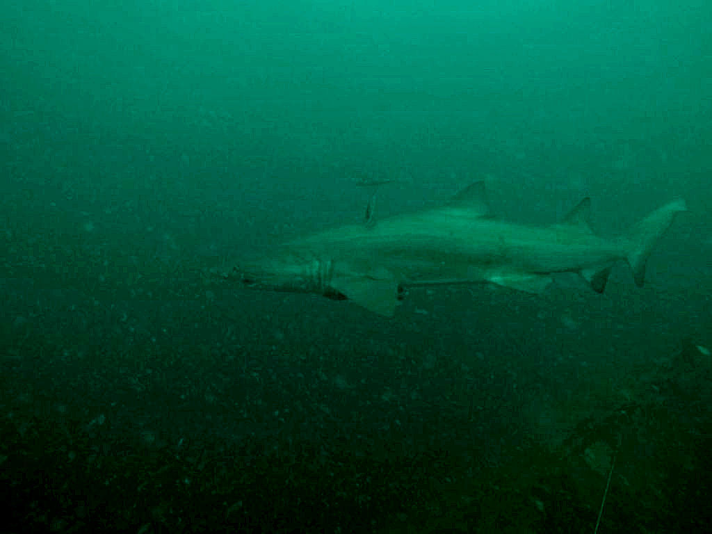 ec6cc637-dc5a-49b9-92fa-07e25bde4900