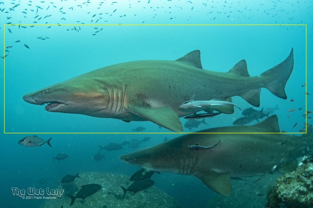 b609e5ff-0bb4-48ec-9d65-cb083348e7fb