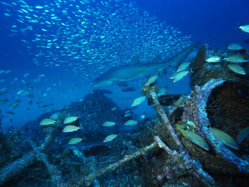 4133d110-9bf2-4329-8279-1bdcd023f369