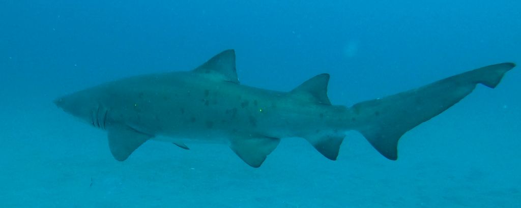 0bfb0beb-85d7-4e1b-98ee-8b870d90abe8