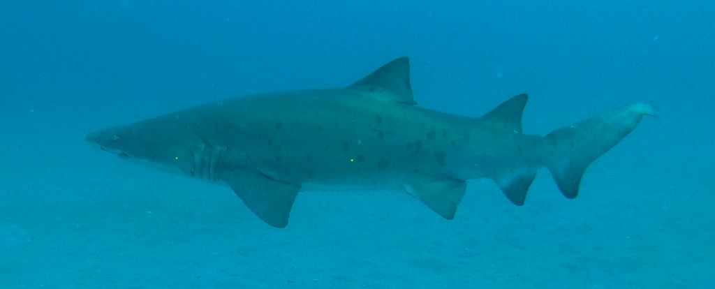 0bfb0beb-85d7-4e1b-98ee-8b870d90abe8