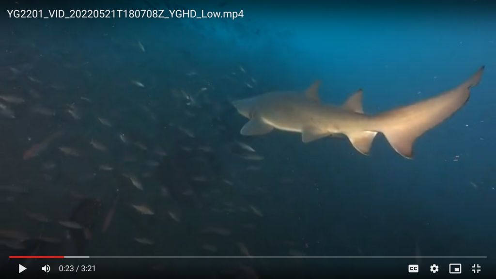 d9bdad66-ec60-4d02-9155-bb94f9c7d8f7