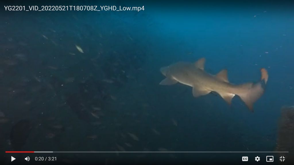 d9bdad66-ec60-4d02-9155-bb94f9c7d8f7