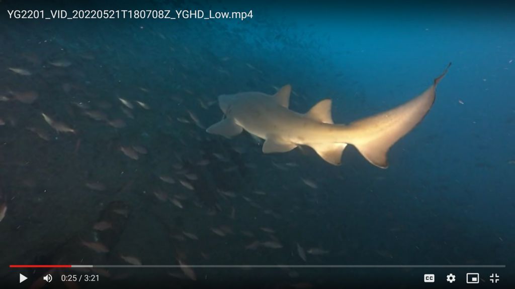 d9bdad66-ec60-4d02-9155-bb94f9c7d8f7