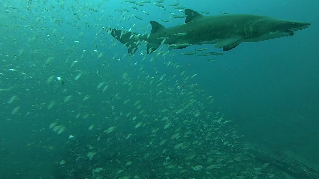 71253559-8207-418e-90e5-3938c23719bf