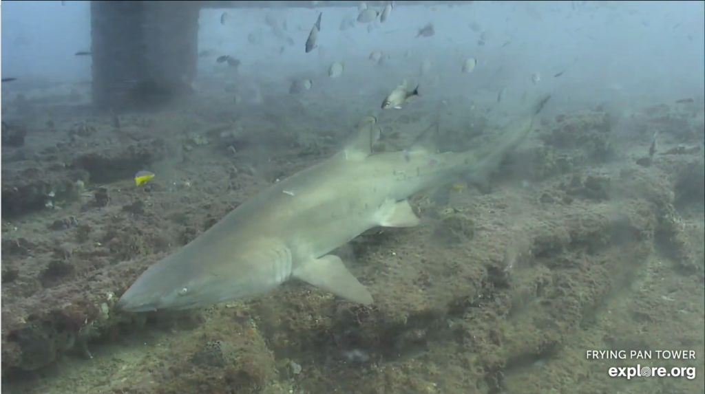 f912e7d6-c4fe-4a61-8b94-538ff4d3efae