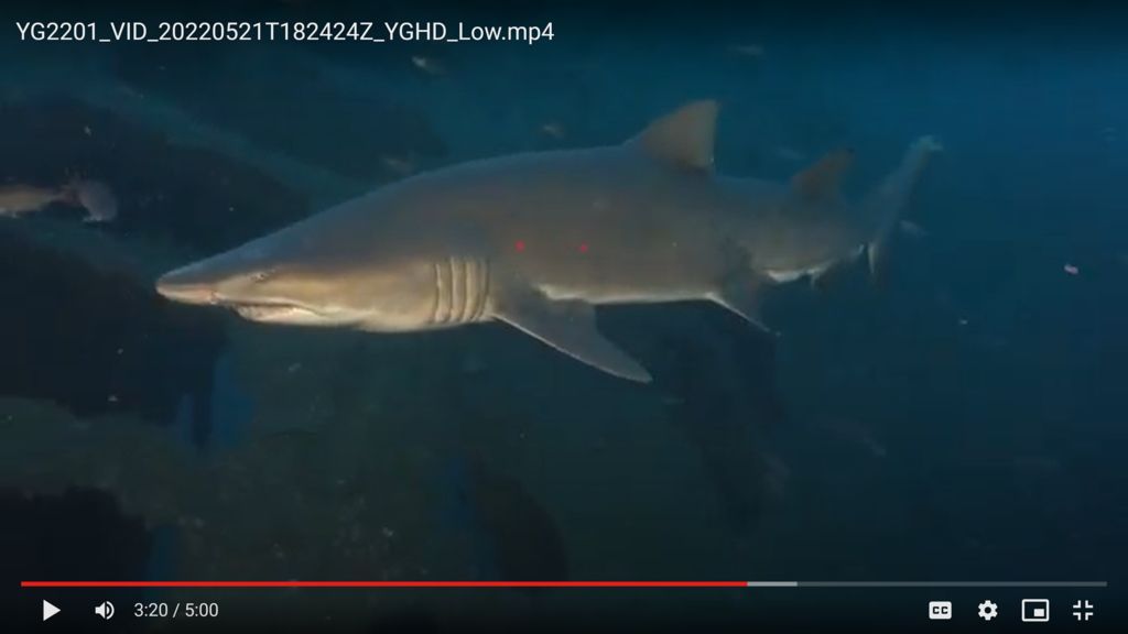 45ef10b4-9710-4d35-b90b-5b9f97d5f966