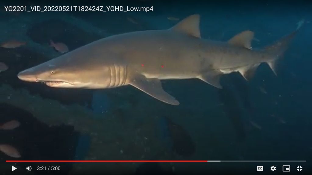 45ef10b4-9710-4d35-b90b-5b9f97d5f966