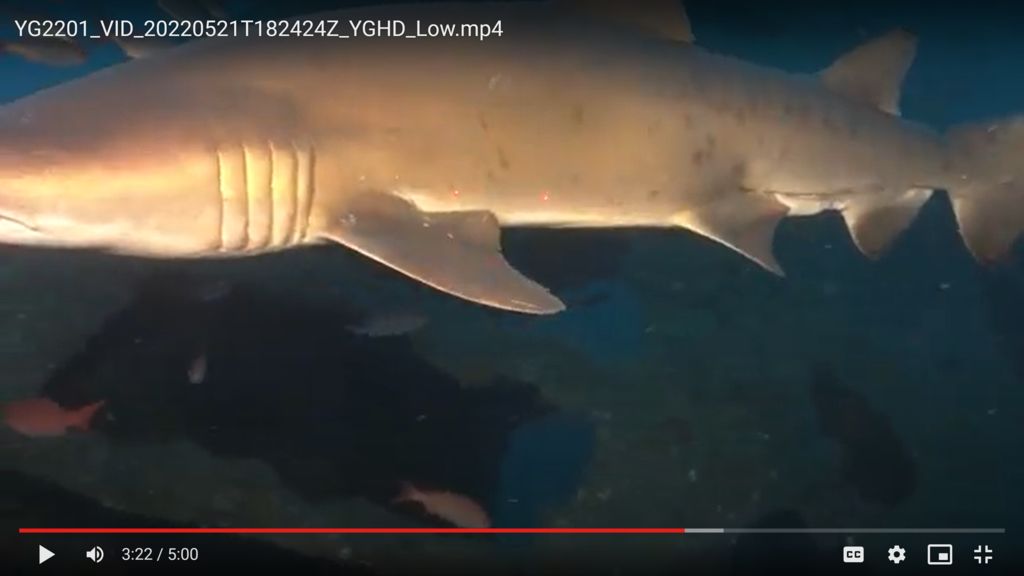 45ef10b4-9710-4d35-b90b-5b9f97d5f966