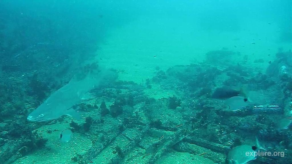 d771f2b1-dd6b-4aae-a61f-8e84f79bcd72