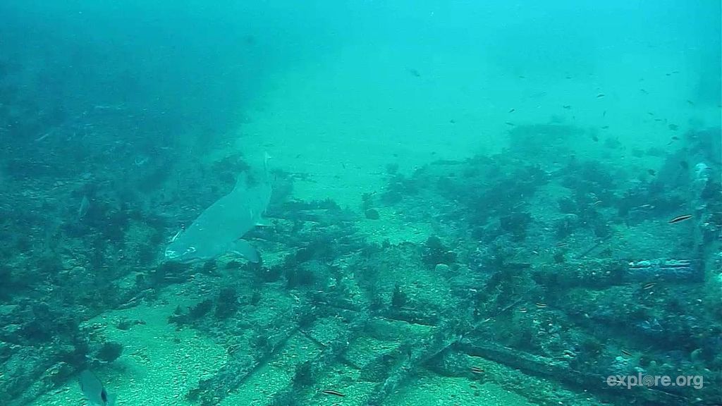 d771f2b1-dd6b-4aae-a61f-8e84f79bcd72