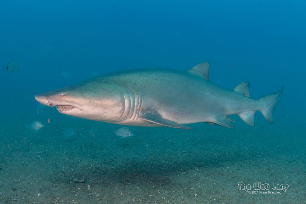 08bc5bcc-ffac-4c66-941e-1db1082d9ae5