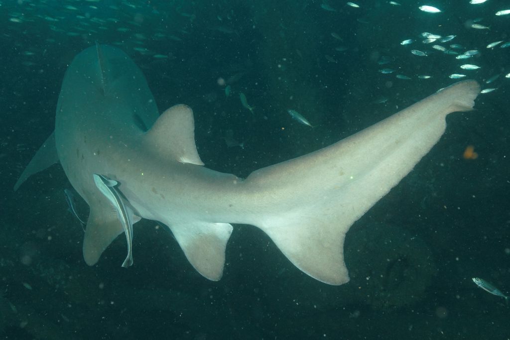 fb696355-c26a-45db-b5ca-83b0d3f22a0a