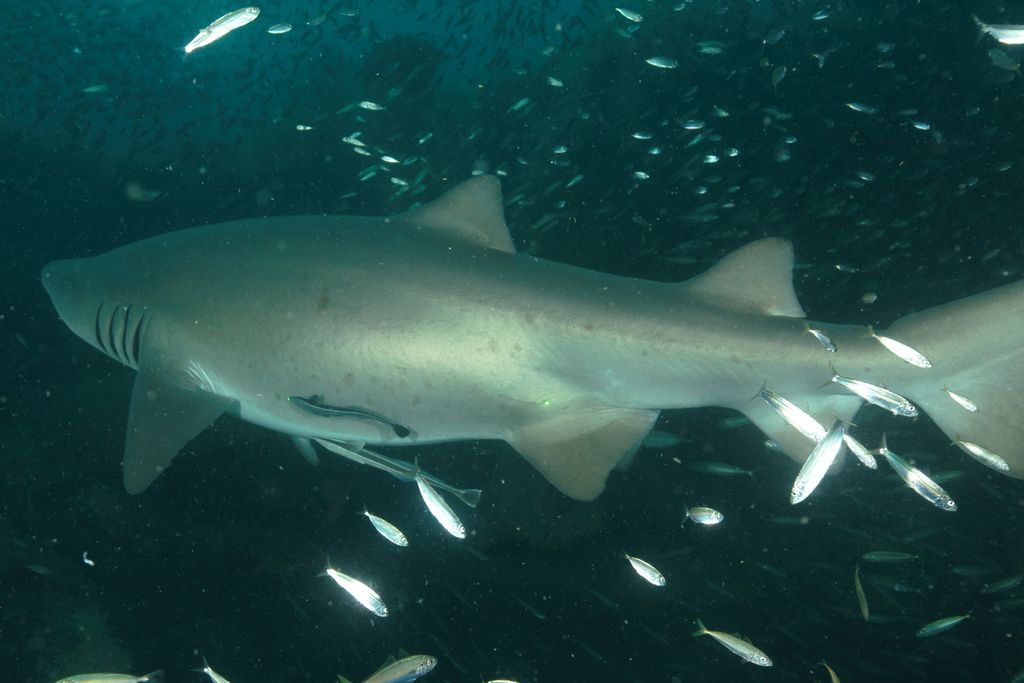 fb696355-c26a-45db-b5ca-83b0d3f22a0a