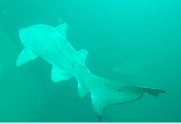 b9e9193a-b1ed-4197-8f65-b843097cb045