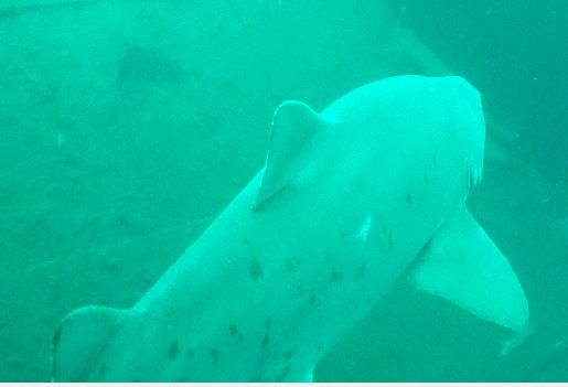 b9e9193a-b1ed-4197-8f65-b843097cb045